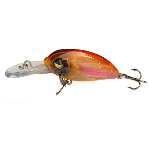 bass fishing fly rods Fly Fishing for Largemouth Bass